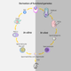 Credit: Zhou, Wang, and Yuan et al./Cell Stem Cell 2016